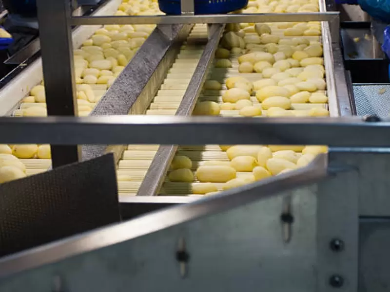 Máquina trituradora de papas