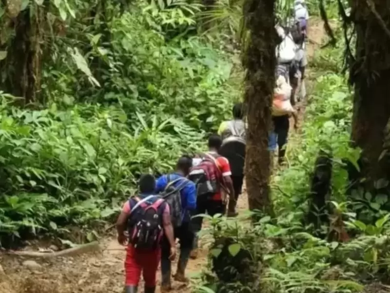 Indígenas AWA desplazados