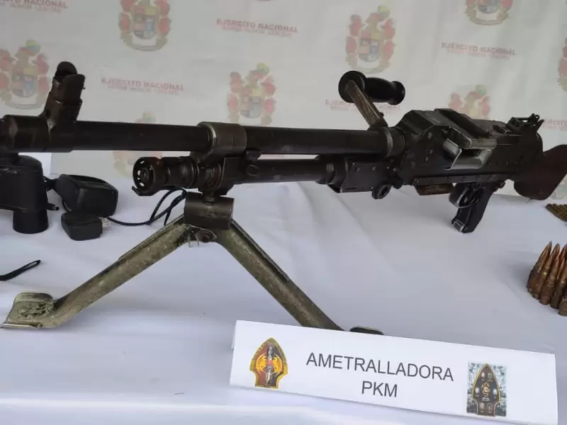 Armas Disidencias