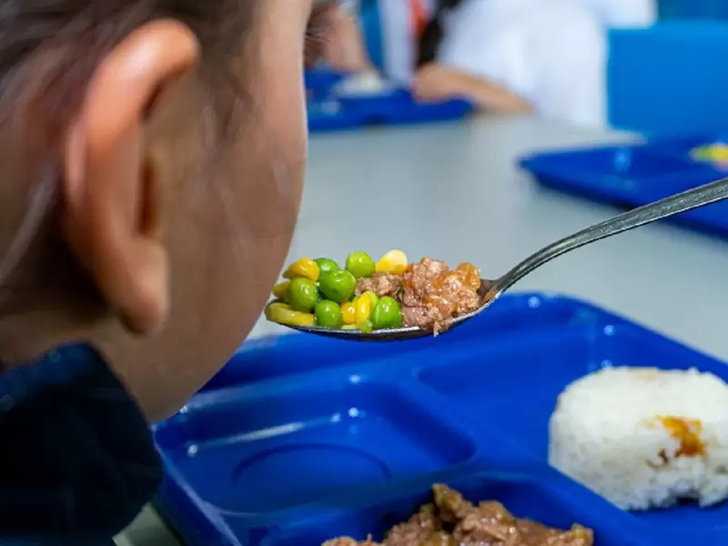 Programa de Alimentación Escolar - PAE