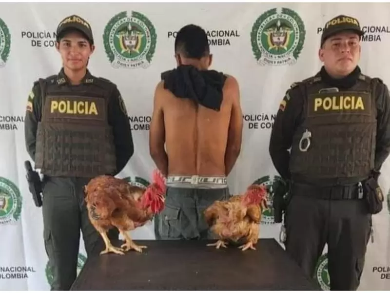 Policía mostró con orgullo captura de sujeto que robó dos gallinas criollas