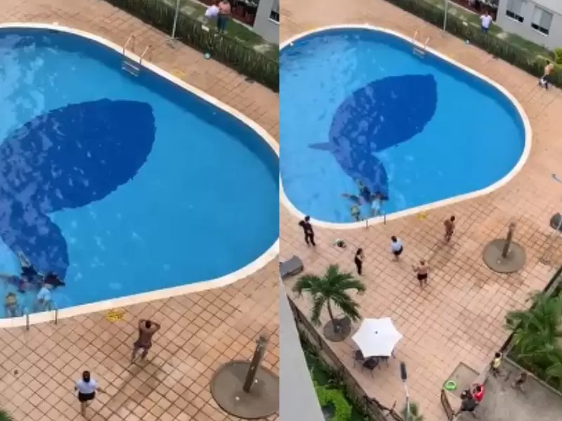 Descarga eléctrica en piscina de Neiva.