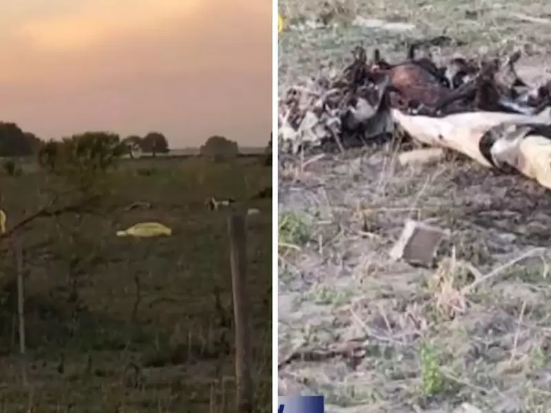 Ladrones robaron una avioneta