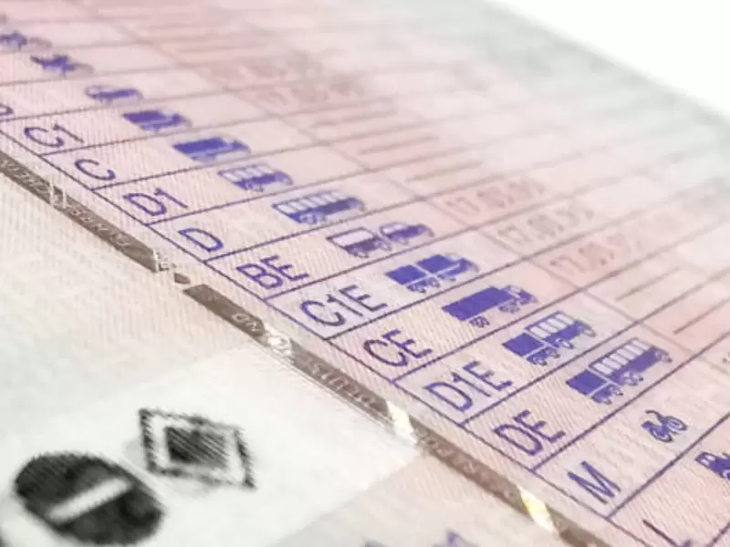 Licencia de conducción Licencia de conducción