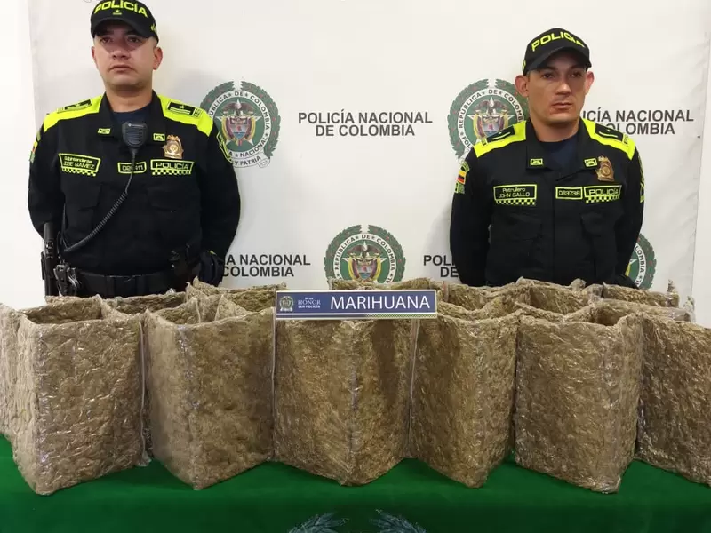 Incautación Marihuana