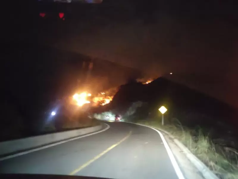 Incendio forestal en Carmen de Apicalá.