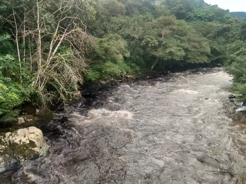 Rio Güiza afectado por la contaminación 