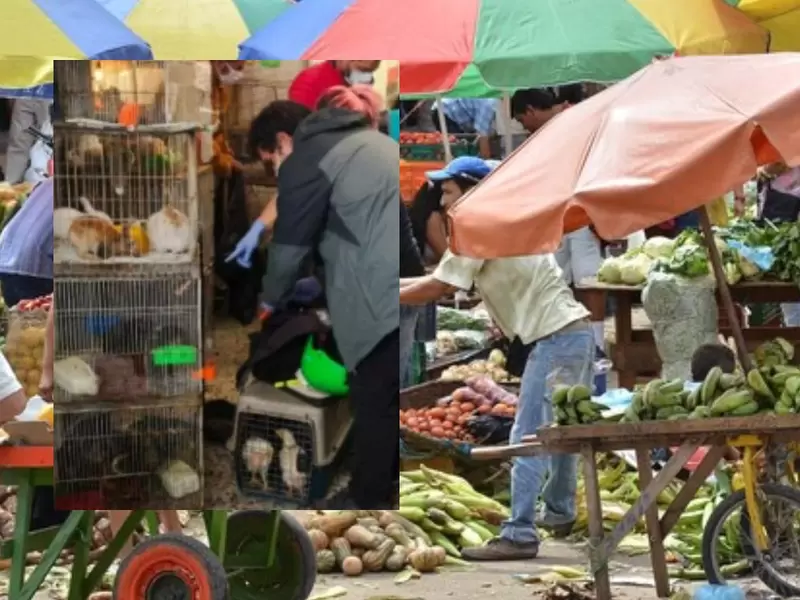 Referencia plaza de mercado