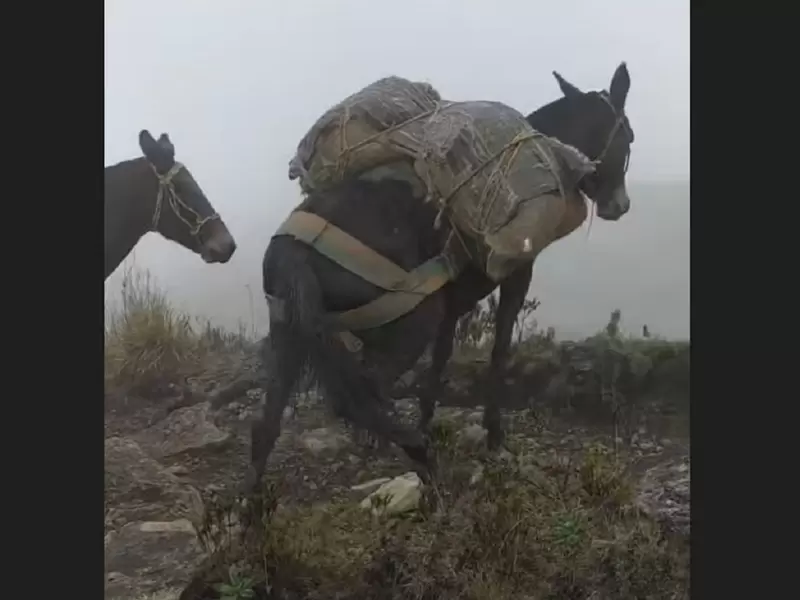 Cañón del río Duda, en Uribe (Meta).