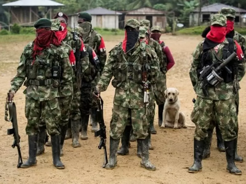 ELN ELN