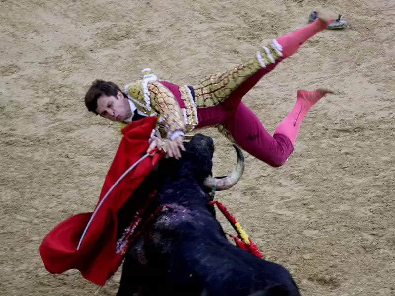 Toros Toros