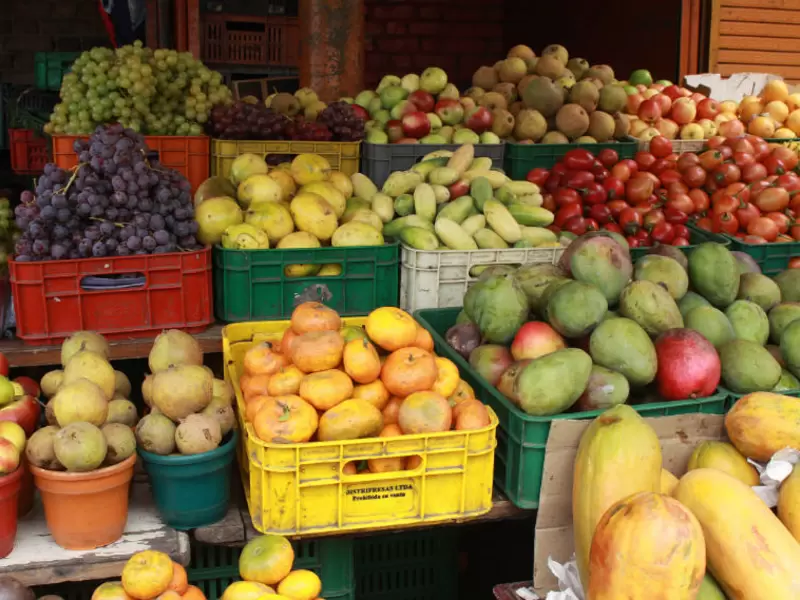 Alimentos Alimentos