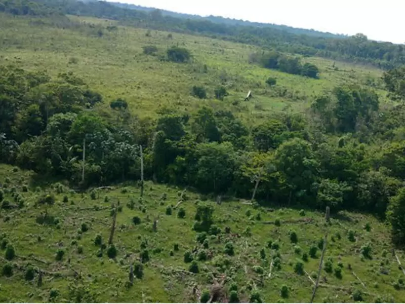 Terrenos baldíos Terrenos baldíos