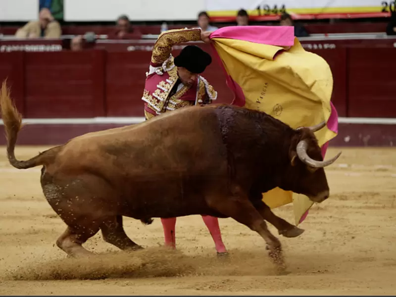 CORRIDAS DE TOROS CORRIDAS DE TOROS