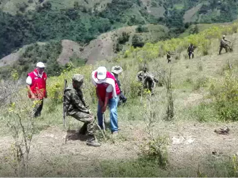 Erradicación de cultivos ilícitos. Erradicación de cultivos ilícitos.
