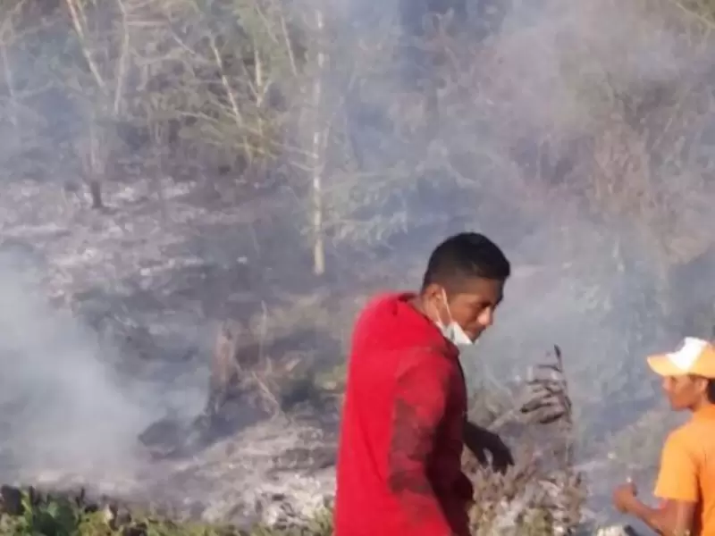 Incendio forestal Incendio forestal