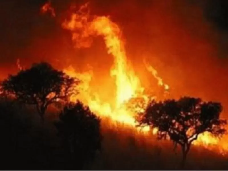 Incendio Forestal Incendio Forestal