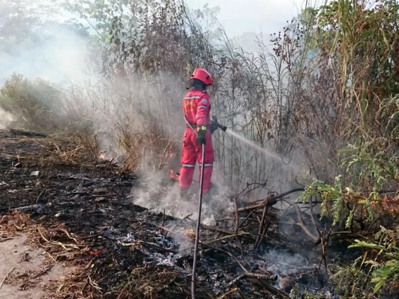 Incendios Forestales Incendios Forestales