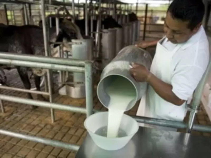 productores de leche productores de leche