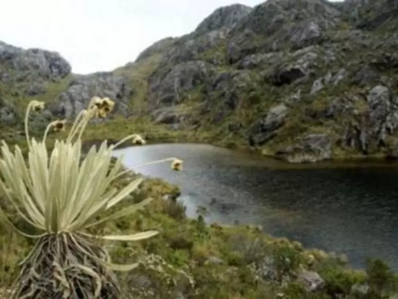 Páramo de Santurbán Páramo de Santurbán