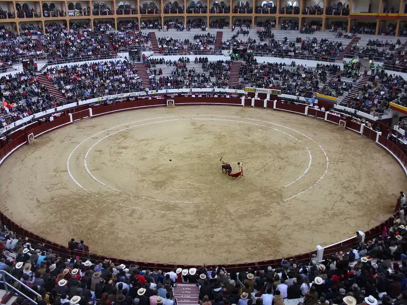 Toros Toros
