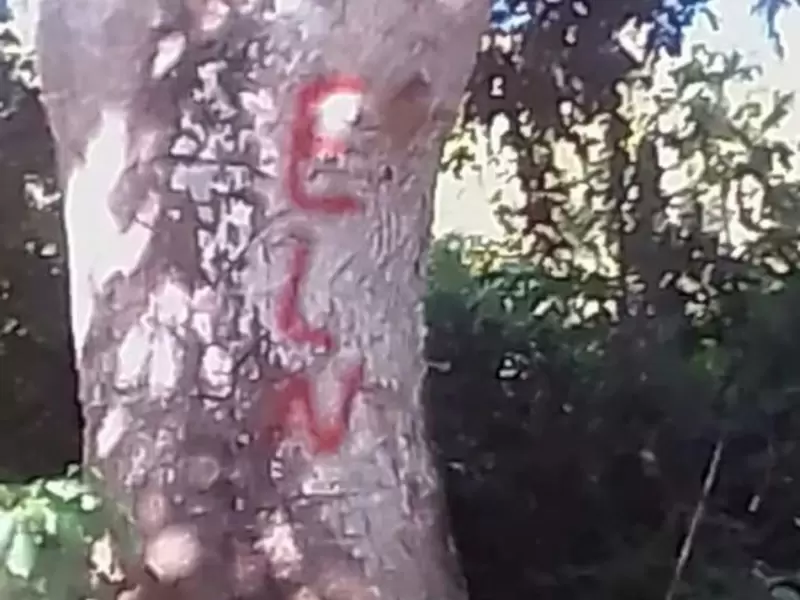 Grafitis del ELN Grafitis del ELN