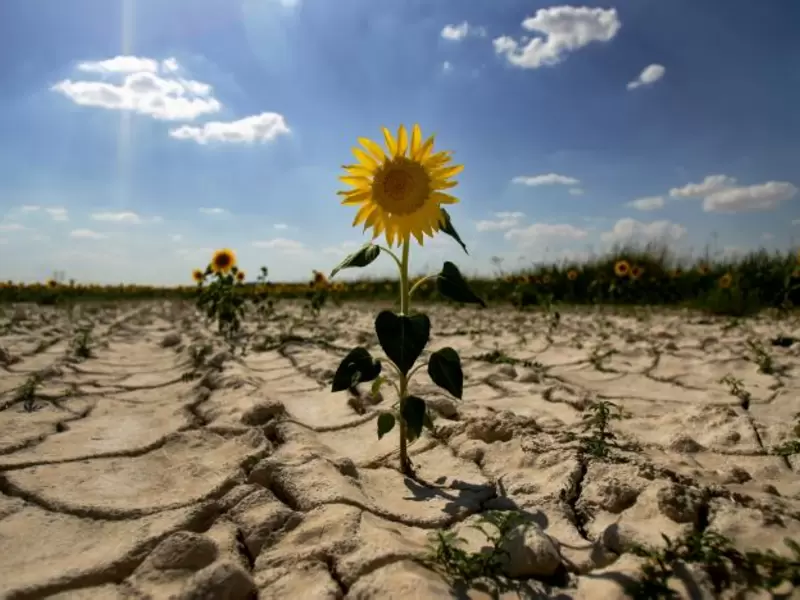 Cambio Climático. Cambio Climático.
