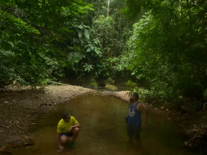 Amazonía Colombiana Amazonía Colombiana