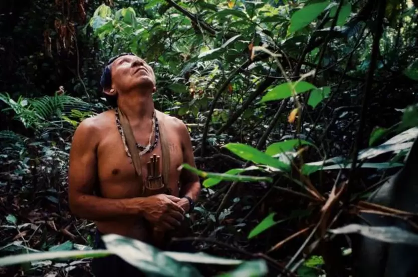 Indigenous autonomy: what is it and where does it apply? indigenous autonomy