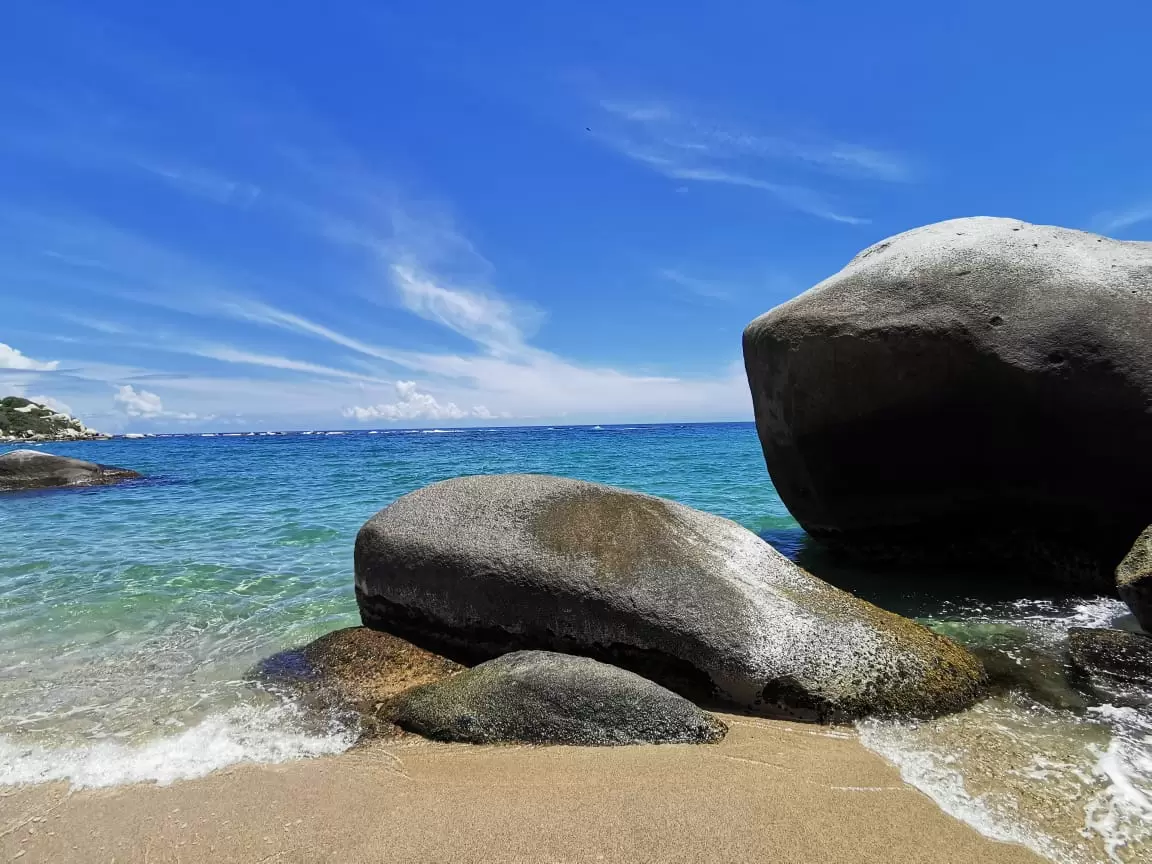 Video] Caimán aparece en playa del Tayrona donde estaban turistas | RCN  Radio