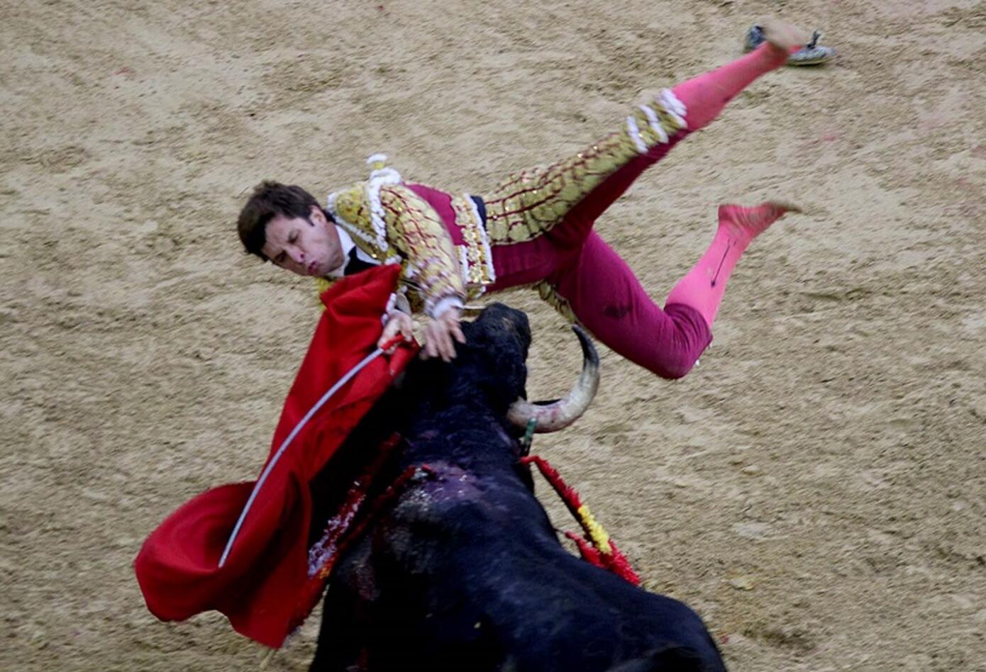 Toros Toros