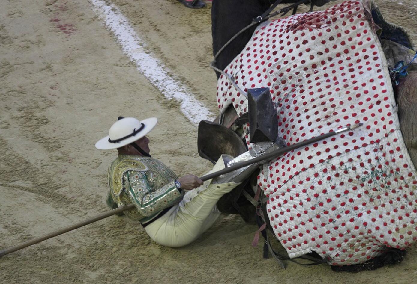 Toro Toro
