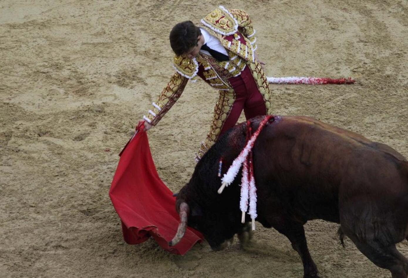 Toros Toros