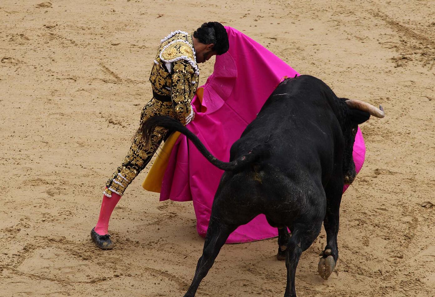 Toros Toros