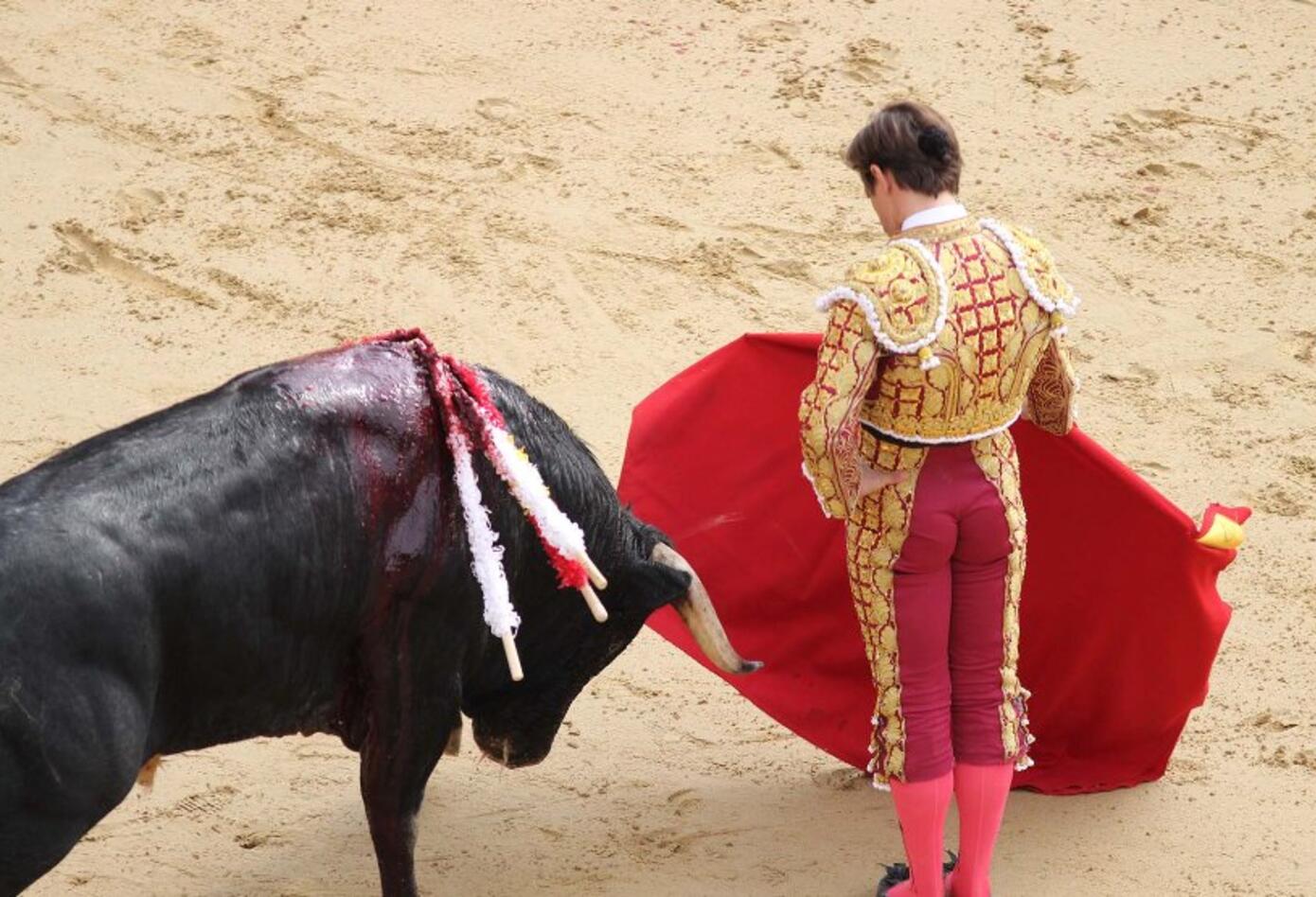 Toros Toros