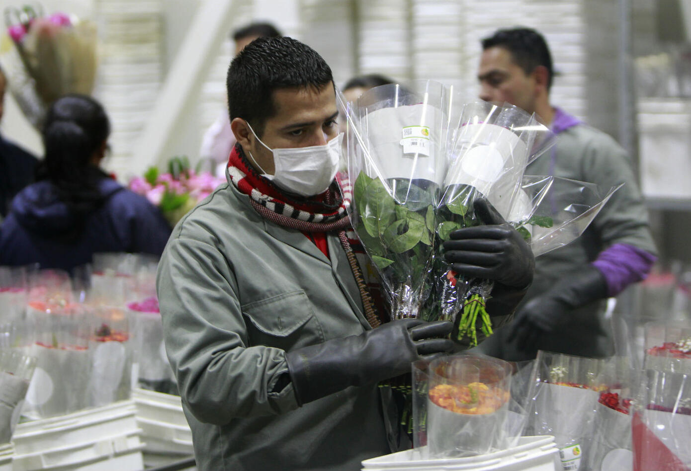 Producción de flores colombianas Producción de flores colombianas