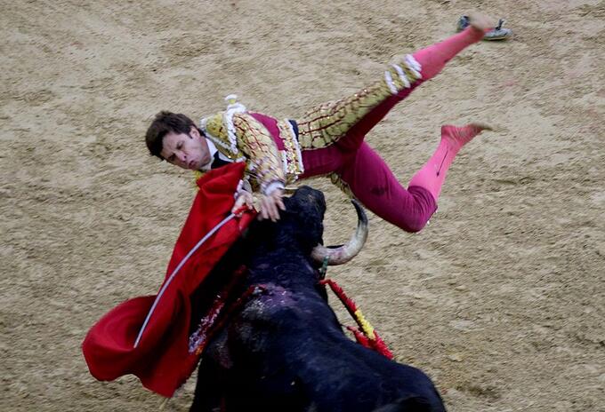 Toros Toros