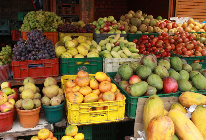 Alimentos Alimentos