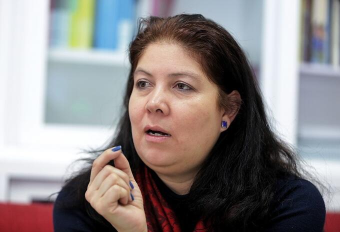 Directora de la Misión de Observación Electoral, Alejandra Barrios Directora de la Misión de Observación Electoral, Alejandra Barrios