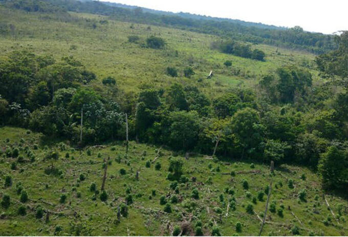 Terrenos baldíos Terrenos baldíos