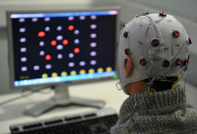 Cerebro Cerebro