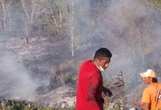 Incendio forestal Incendio forestal