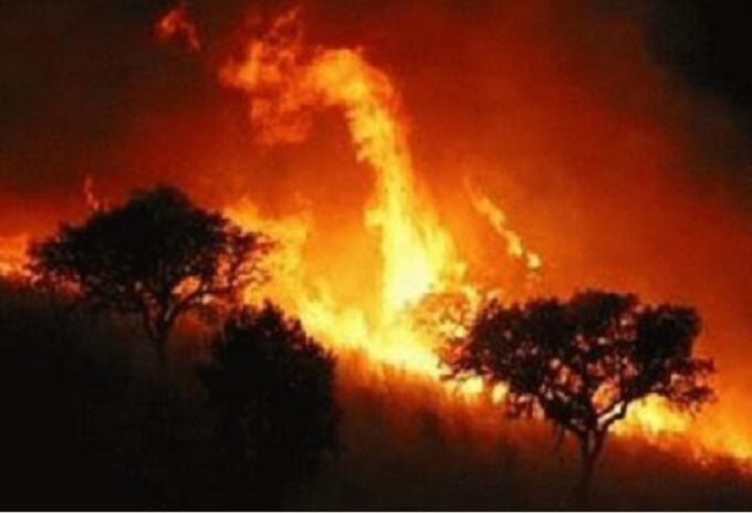 Incendio Forestal Incendio Forestal