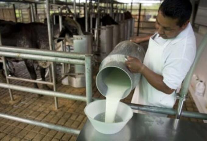 productores de leche productores de leche