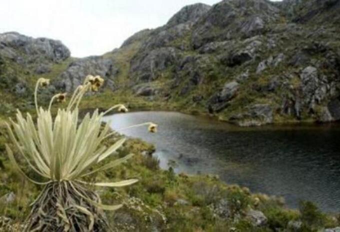 Páramo de Santurbán Páramo de Santurbán