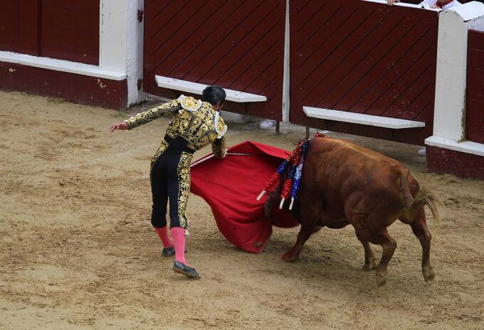 Toros Toros
