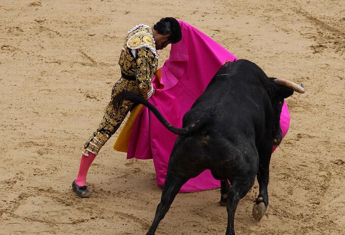 Toros Toros