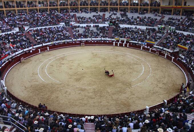 Toros Toros