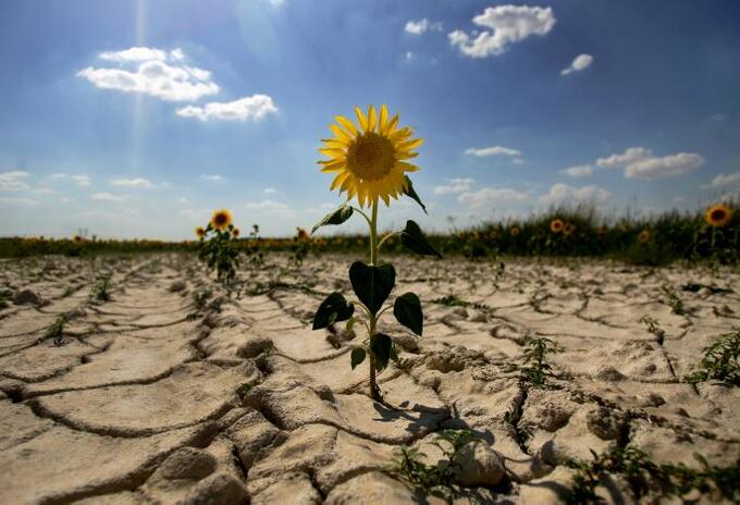 Cambio Climático. Cambio Climático.