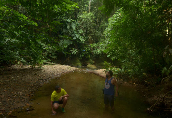 Amazonía Colombiana Amazonía Colombiana